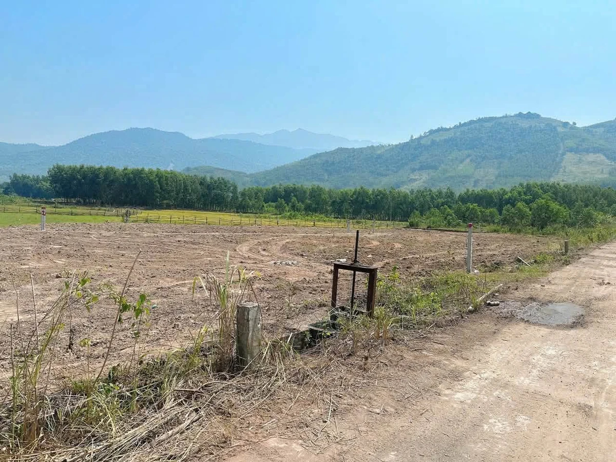 Bán 2 lô đất 580m² mặt tiền đường Bêtông Nhà Bè - Ảnh 1