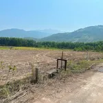 Bán 2 lô đất 580m² mặt tiền đường Bêtông Nhà Bè - Ảnh thu nhỏ 1