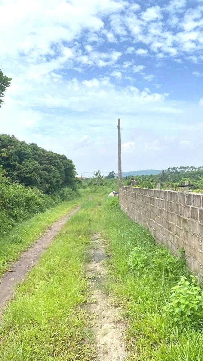 Bán đất 3000m² Bến Tắm Hải Phòng 400 triệu - Ảnh 1