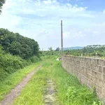 Bán đất 3000m² Bến Tắm Hải Phòng 400 triệu - Ảnh thu nhỏ 1