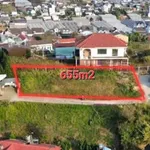 Bán đất Bạch Đằng, 655m² – 14.3 tỷ, Đà Lạt - Ảnh thu nhỏ 3