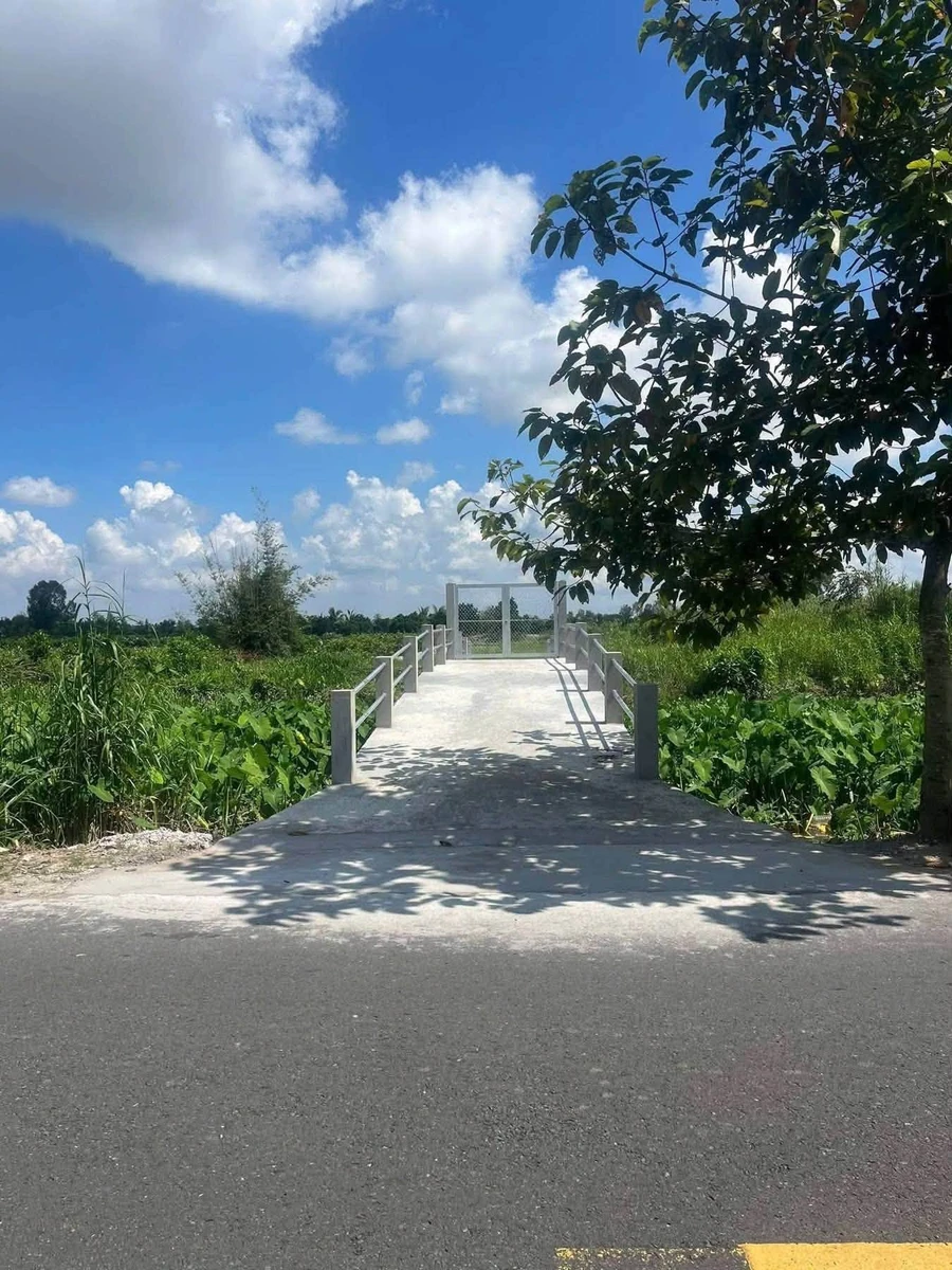 Bán 700m² đất nền Mỹ Thuận 499 triệu - Ảnh thu nhỏ 2