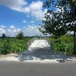 Bán 700m² đất nền Mỹ Thuận 499 triệu - Ảnh thu nhỏ 2