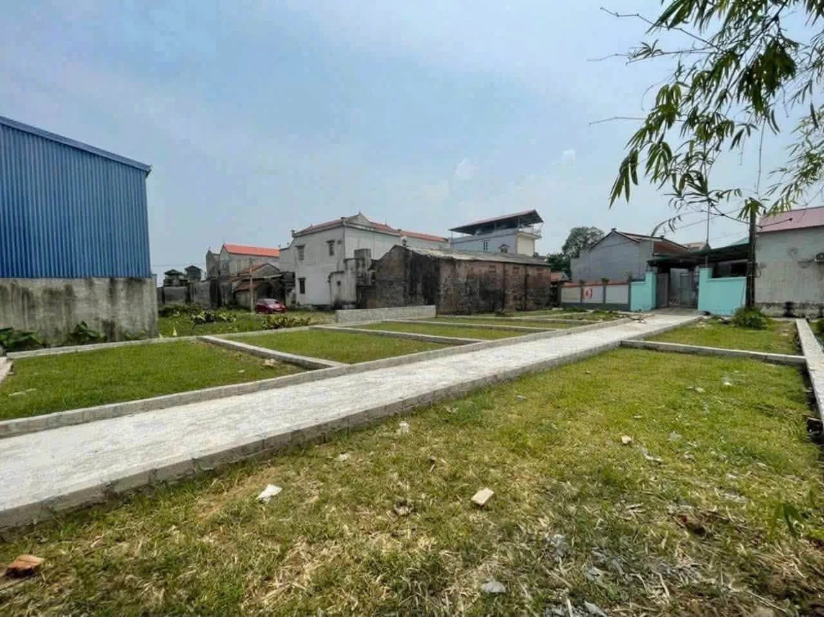 Bán đất 48,6m2 thôn Tam Đa, xã Tam Hưng, Hà Nội, giá giảm còn khoảng 2,6 tỷ - Ảnh thu nhỏ 5