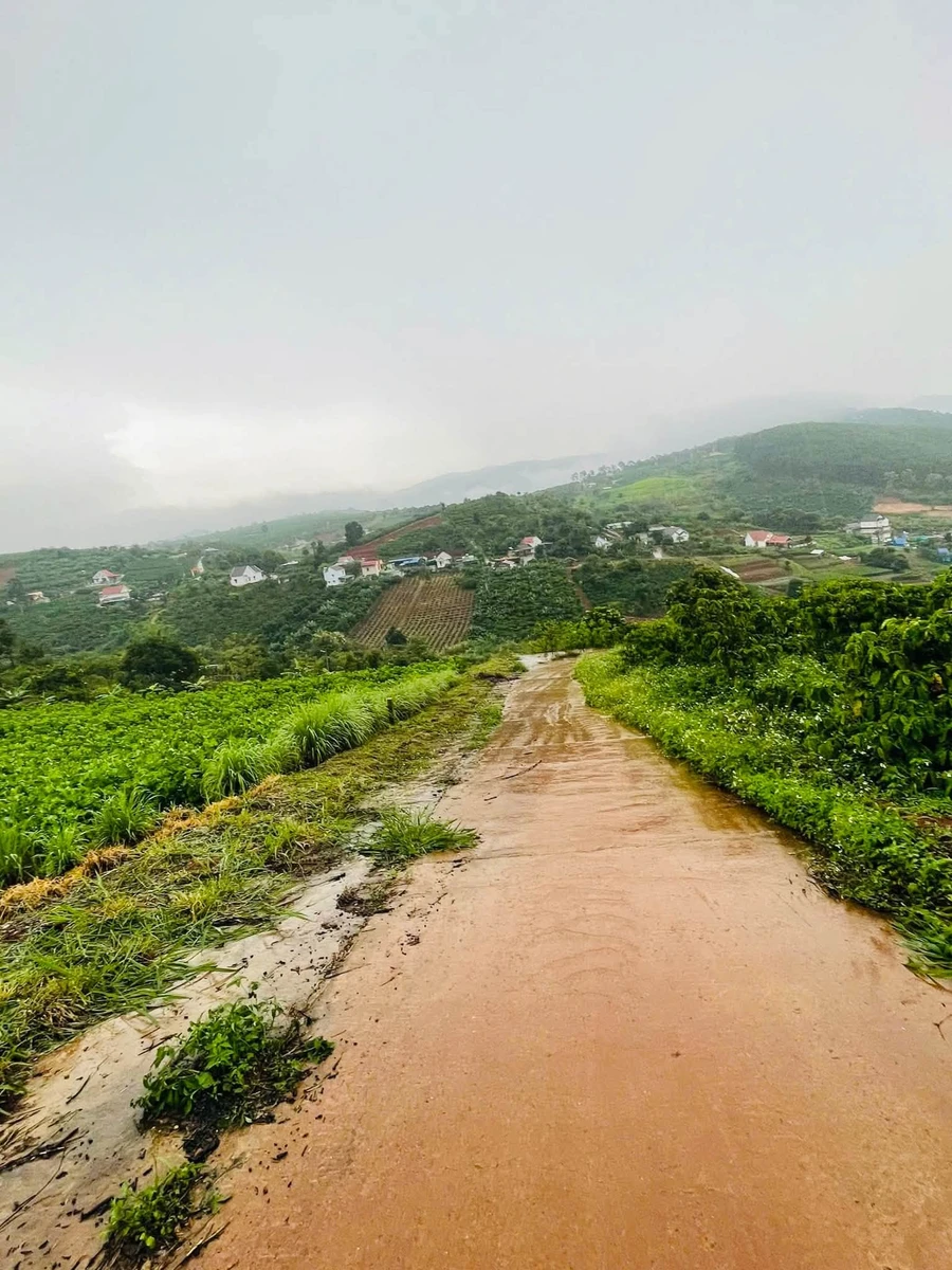 Đất view núi 690m2 ven Đà Lạt, Nam Ban Lâm Hà - Ảnh thu nhỏ 3