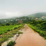 Đất view núi 690m2 ven Đà Lạt, Nam Ban Lâm Hà - Ảnh thu nhỏ 3