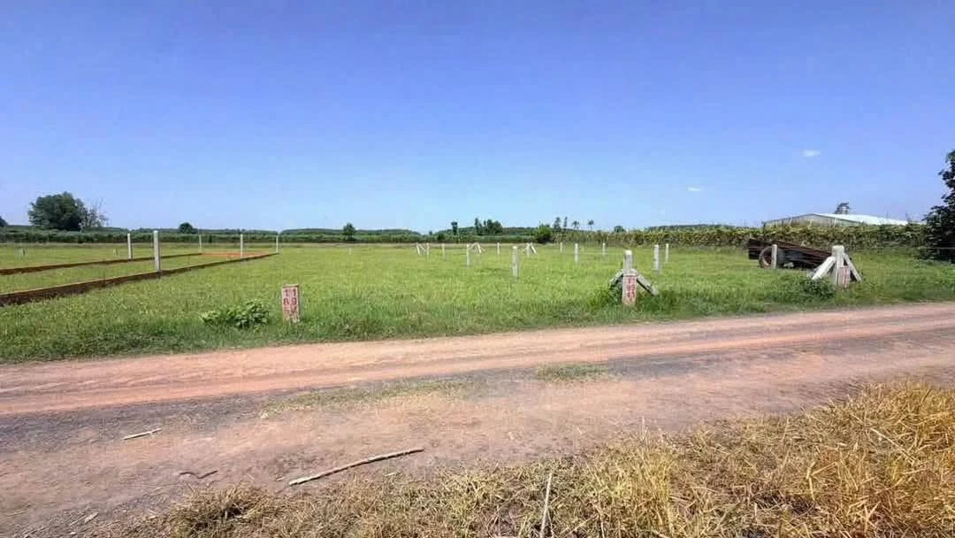 Bán đất 130m² Dương Minh Châu Tây Ninh giá 199 triệu - Ảnh thu nhỏ 2