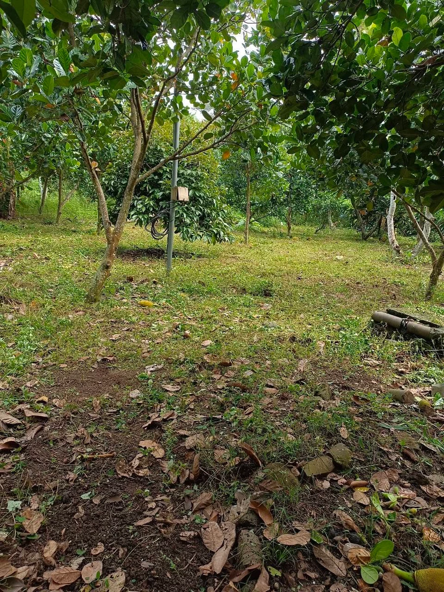 Bán đất 28m² mặt tiền vườn trái cây Bảo Vinh 1 tỷ - Ảnh thu nhỏ 3