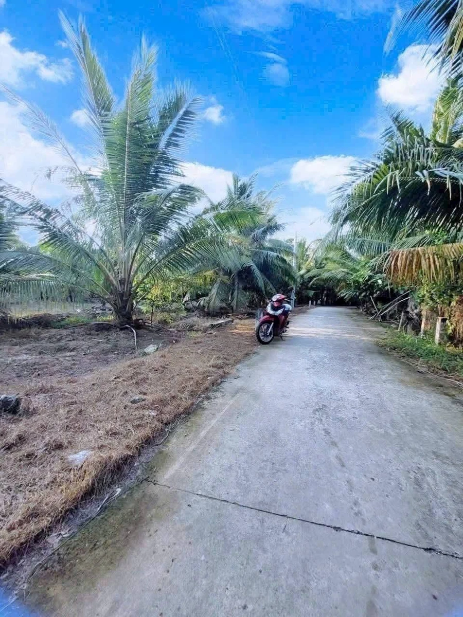 Bán đất Sơn Đông Vĩnh Long 666m2 giá 1 tỷ 180 triệu - Ảnh thu nhỏ 3