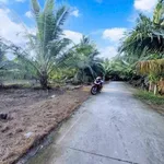 Bán đất Sơn Đông Vĩnh Long 666m2 giá 1 tỷ 180 triệu - Ảnh thu nhỏ 3