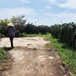 Bán đất 600m2 có 300m2 thổ cư tại Hàm Mỹ, lô 2 đường nhựa Phú Phong, giá 550 triệu - Ảnh thu nhỏ 5