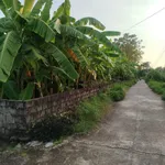 Bán đất 335m² 2 mặt tiền, sổ đỏ chính chủ tại xã An Ninh, Bình Lục, Hà Nam - Ảnh thu nhỏ 3