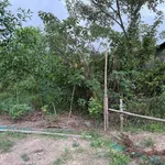 Bán lô đất cây lâu năm 224 m2 giá 39 triệu tại phường Phong Điền, Huế - Ảnh thu nhỏ 5