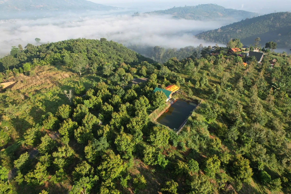 Bán 2000m² đất vườn sầu riêng Bảo Lộc, 1,3 tỷ - Ảnh thu nhỏ 4