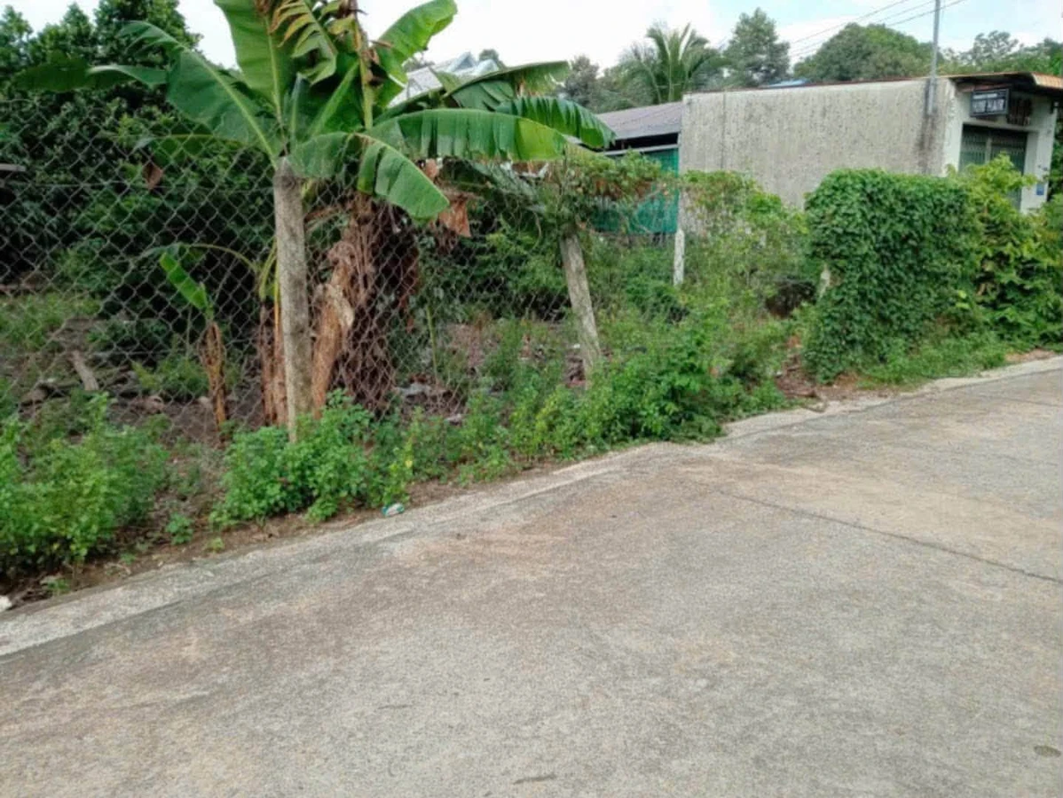 Bán đất thổ cư ngang 10m, 100m2 nhánh đường Bà 39, Phú An, giá 3,5 tỷ - Ảnh thu nhỏ 3