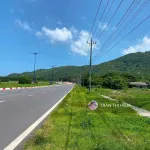 Mặt tiền đường Ven Biển Vũng Tàu Bình Châu, Phước Hải - 5195m2 ngay Lan Rừng Resort - Ảnh thu nhỏ 11