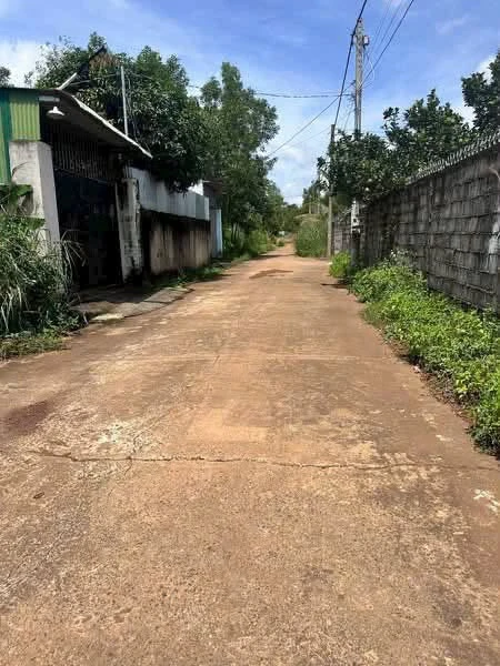 Đất thổ cư Trảng Bom 5×23m, 599 triệu - Ảnh thu nhỏ 5