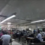 Bán đất 5.769m2 có 1.500m2 nhà xưởng. 300m2 đất thổ cư. Đang cho thuê 40tr/T cách TP Trà Vinh 10p - Ảnh thu nhỏ 8