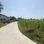 Bán đất nền Ninh Hoà Khánh Hòa 100m² giá 190 triệu - Ảnh thu nhỏ 3