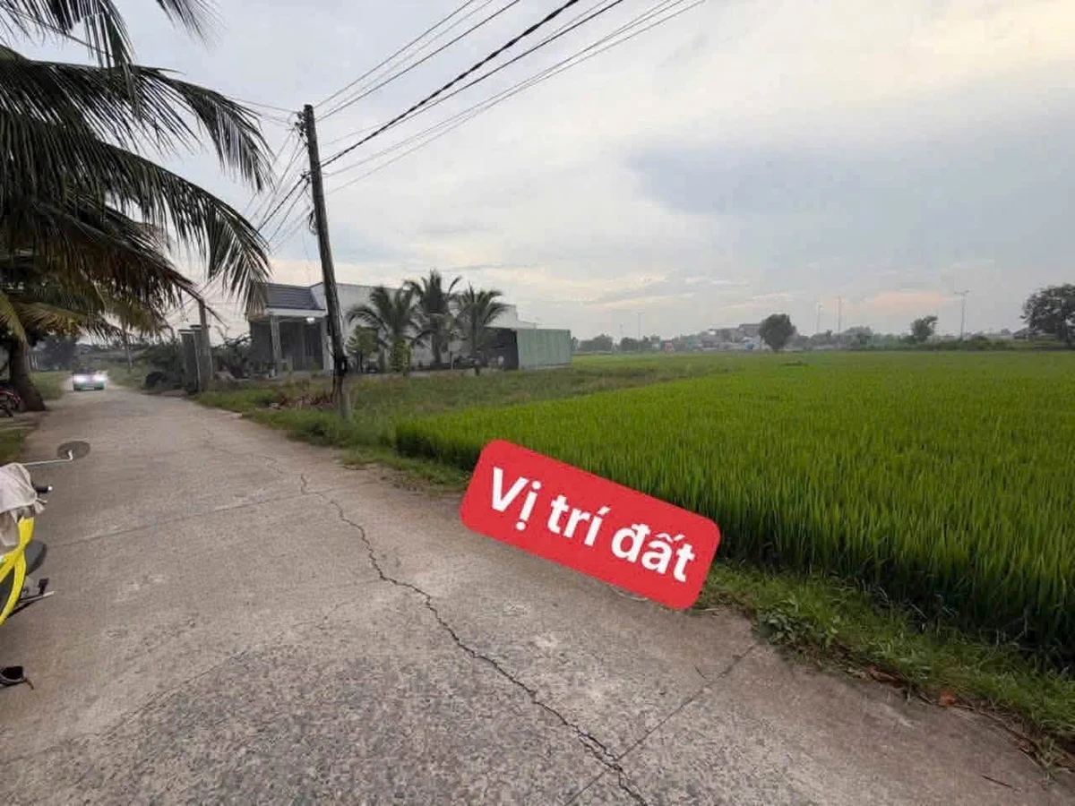 Bán đất 5x26 (130m²) 850 triệu Đức Hoà, Long An - Ảnh thu nhỏ 3