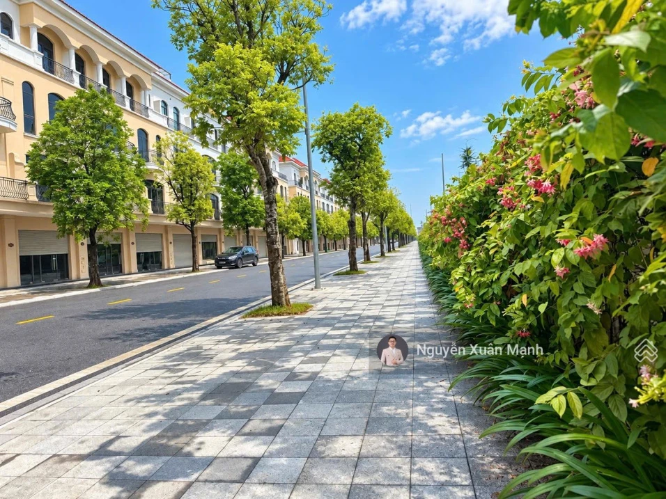 LK 70m2 giá CỰC TỐT 8,1 tỷ, hướng đông nam, vừa ở vừa kinh doanh, ngay cạnh trường học, chung cư - Ảnh 1
