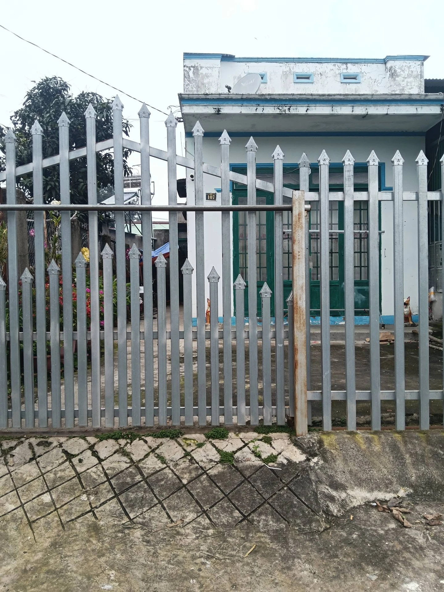 Bán nhà cấp 4 Phú Hội 126m² 2 phòng ngủ 1 tỷ 350 - Ảnh 1