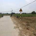 Bán gấp 7 lô đất thổ cư từ 120m2 giá 600 triệu/lô tại Phước Đông, Cần Đước - Ảnh thu nhỏ 3