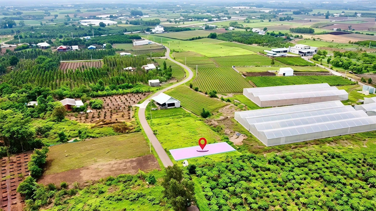 Bán đất 196m² Xã Nghĩa Thành, BR-VT, 470 triệu - Ảnh thu nhỏ 4