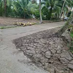 Bán đất gần 2,4c tại Châu Bình, Giồng Trôm, Bến Tre - Ảnh thu nhỏ 5