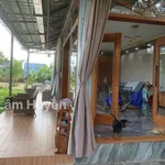 Bán nhà vườn mặt tiền 48m, 3200m², gần chợ Đồng Nai, Bình Chánh - Ảnh thu nhỏ 3
