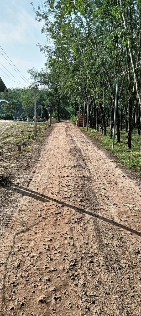 Bán đất 50m2 giá 250 triệu tại Đồng Khởi, Châu Thành, Tây Ninh - Ảnh thu nhỏ 4