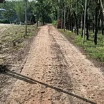 Bán đất 50m2 giá 250 triệu tại Đồng Khởi, Châu Thành, Tây Ninh - Ảnh thu nhỏ 4