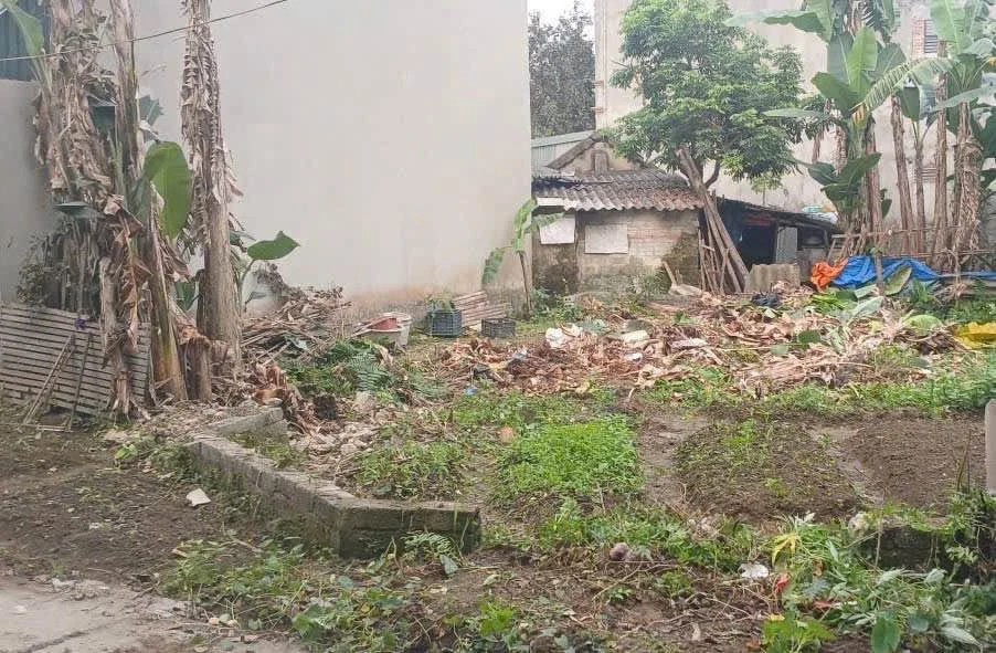 Bán đất mặt tiền 146 Nam Ngạn, 68m², Quận 1 - Ảnh thu nhỏ 3