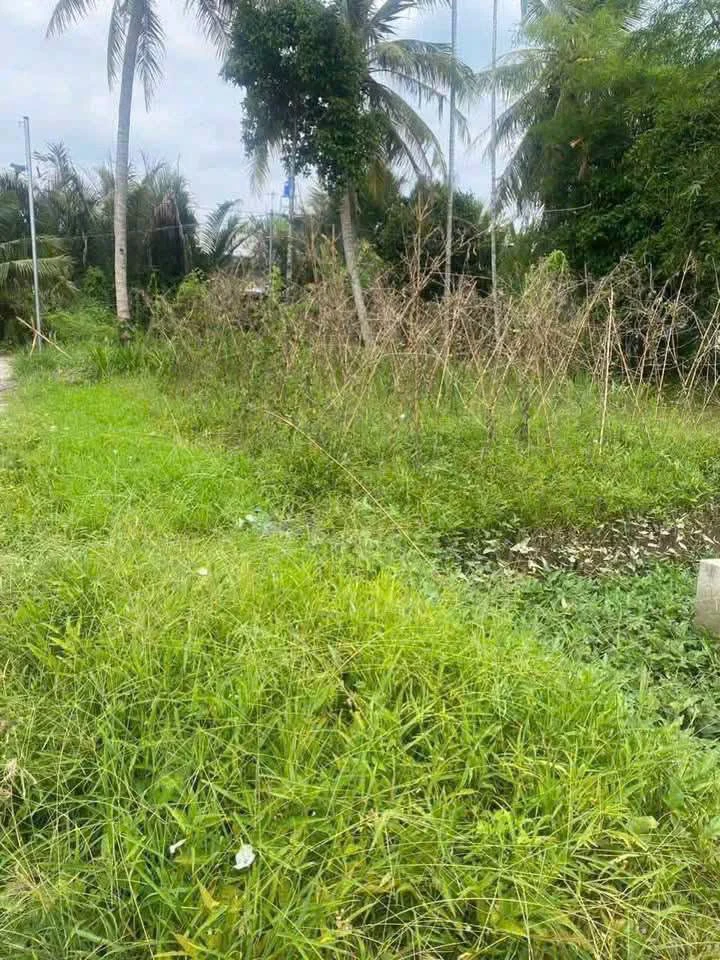 Bán đất 250m2 ngang 10m, có 50m thổ cư tại Quới Thành (nay là Tiên Thủy) - Ảnh thu nhỏ 5