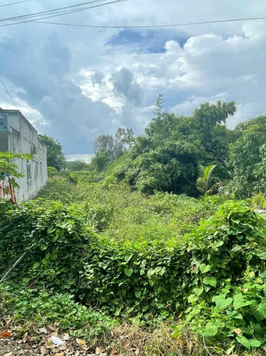Nhanh tay sở hữu mảnh đất đẹp tại phường Mỹ Thới, An Giang (Thành phố Long Xuyên, An Giang cũ) - Ảnh thu nhỏ 4