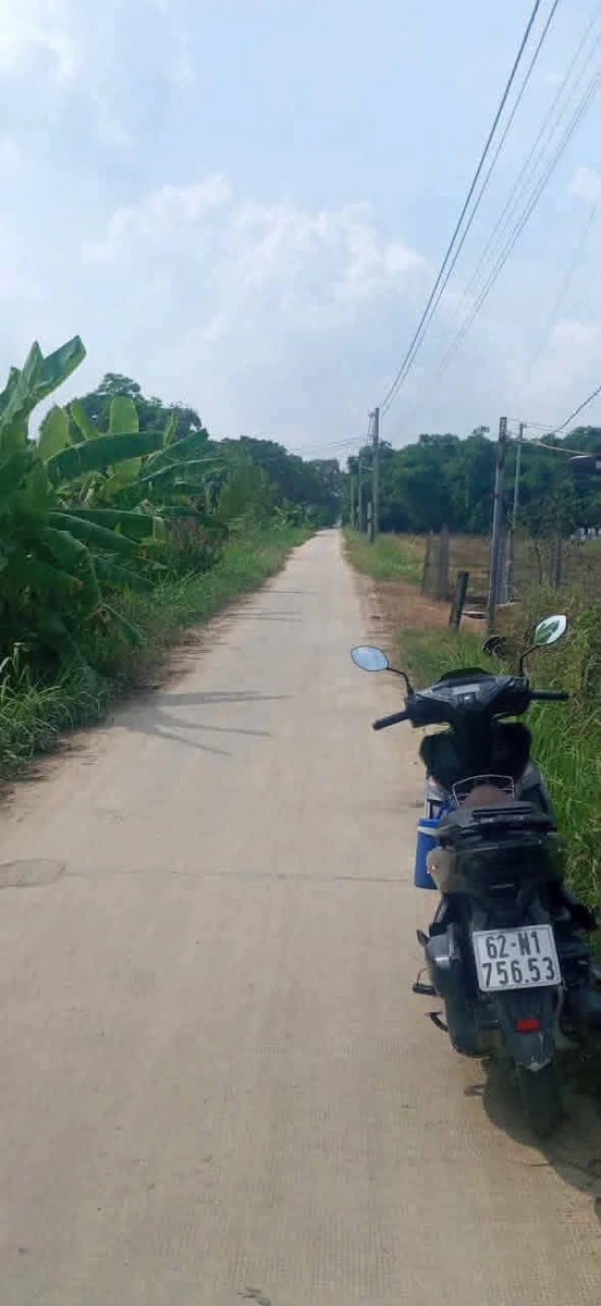 Bán nền thổ cư mặt tiền đường đan ô tô 117m2 giá 500 triệu tại Mỹ Thạnh Tân, Tân Trụ - Ảnh thu nhỏ 3