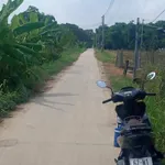 Bán nền thổ cư mặt tiền đường đan ô tô 117m2 giá 500 triệu tại Mỹ Thạnh Tân, Tân Trụ - Ảnh thu nhỏ 3