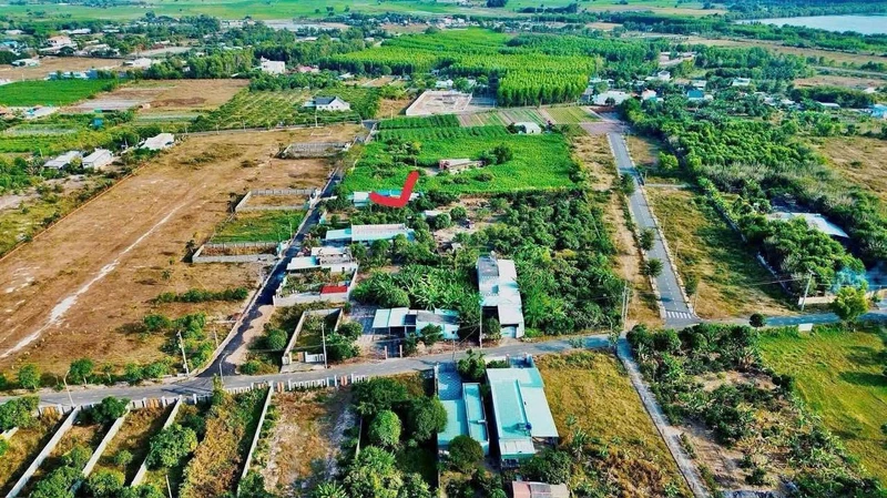 Bán vườn xoài Phước Hải, BRVT, 2000 m², 7,2 tỷ