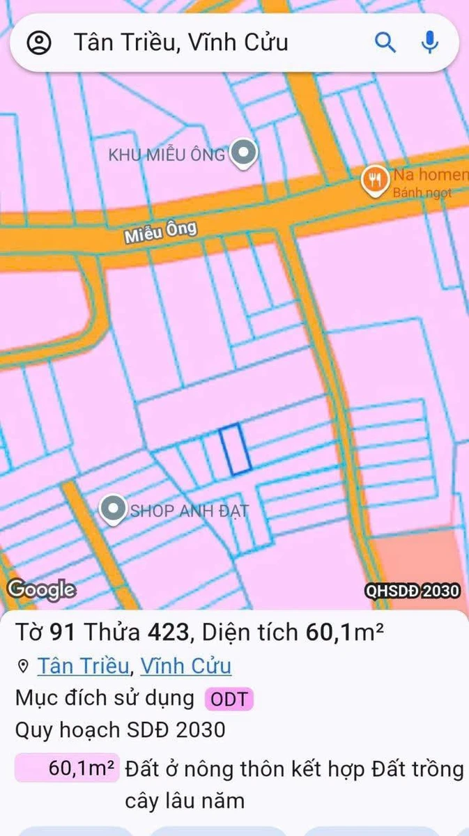 Bán đất 60m² Phường Tân Triều, Đồng Nai 790 triệu - Ảnh thu nhỏ 4