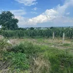 Bán đất vườn 5490 m² tại Phan Thiết, Lâm Đồng - Ảnh thu nhỏ 2