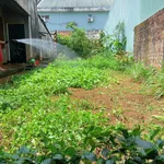 Bán đất nền trung tâm Pleiku 261m² - 3 tỷ - Ảnh thu nhỏ 4