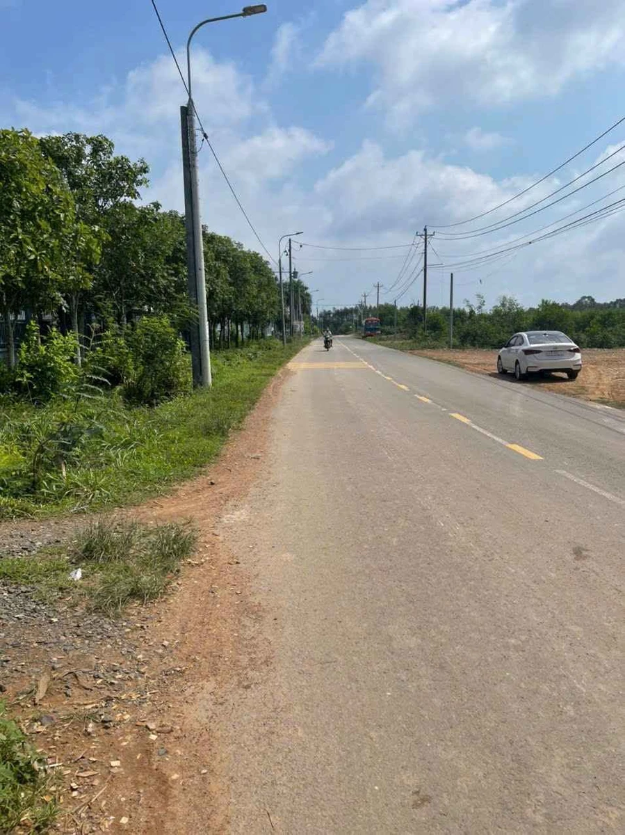 Bán đất mặt tiền Thanh Sơn 7.841m2 Đồng Nai 14,9 tỷ - Ảnh thu nhỏ 4