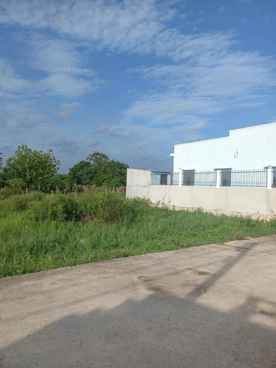 Bán đất thổ cư 100m² Phong Nẫm Phan Thiết 539 triệu - Ảnh thu nhỏ 3