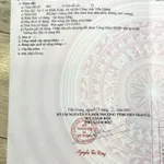 Hạ giá bán lỗ!!! Đất thổ cư xây nhà ngang 5m hoặc căn đôi ngang 10m - Ảnh thu nhỏ 5