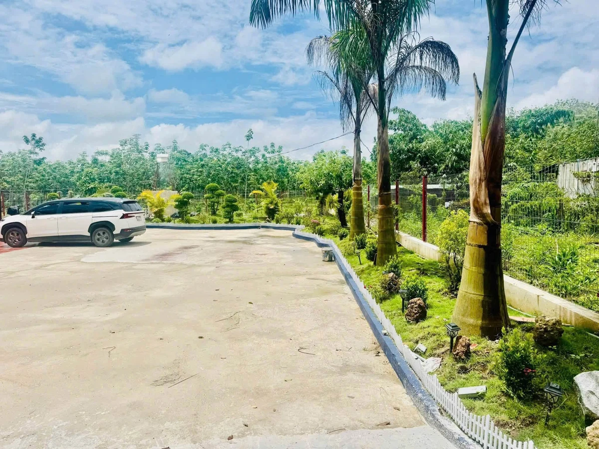 Bán nhà vườn 1800m² An Thái Phú Giáo giá 3 tỷ 5 - Ảnh thu nhỏ 2
