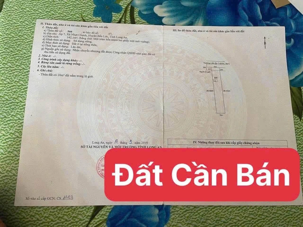 Bán đất thổ cư mặt tiền 140m² Bến Lức Long An 1,1 tỷ - Ảnh thu nhỏ 5