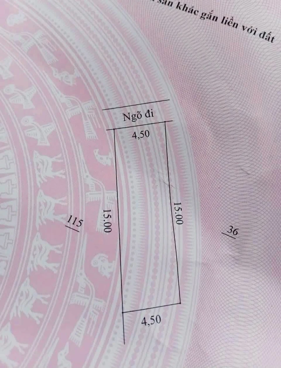 Bán đất Kim Đằng Hưng Yên 67,5m2, 1 tỷ 600 triệu - Ảnh thu nhỏ 3