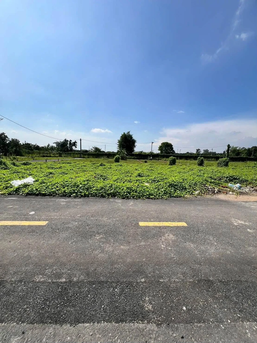 Bán đất sổ riêng 100m2 Tân Triều giá 1 tỷ 1 - Ảnh thu nhỏ 4