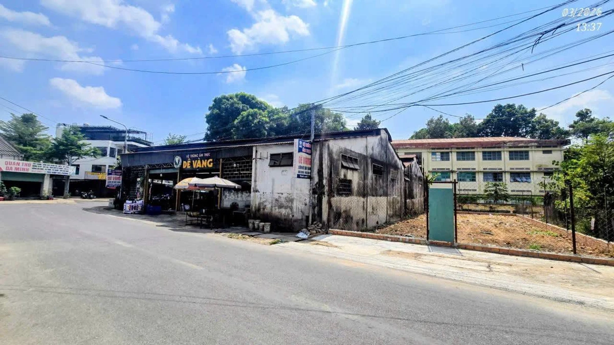 Bán đất 2 mặt tiền Nguyễn Bảo Đức, 240m², Biên Hòa - Ảnh thu nhỏ 3