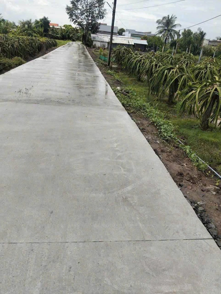 Bán đất nền 1000m2 Thuận Mỹ, Long An - Ảnh thu nhỏ 2